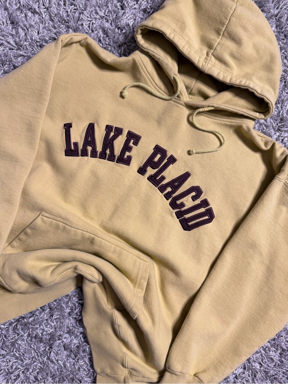 Lake Placid Heavy Hoodie